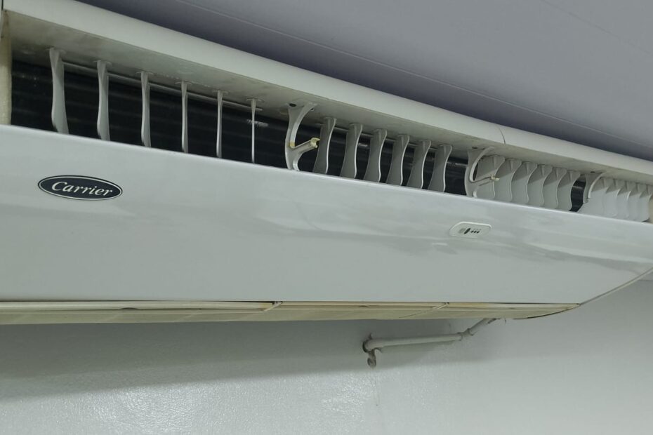 WhatsApp Image 2026-01-16 at 02.25.38 (1)